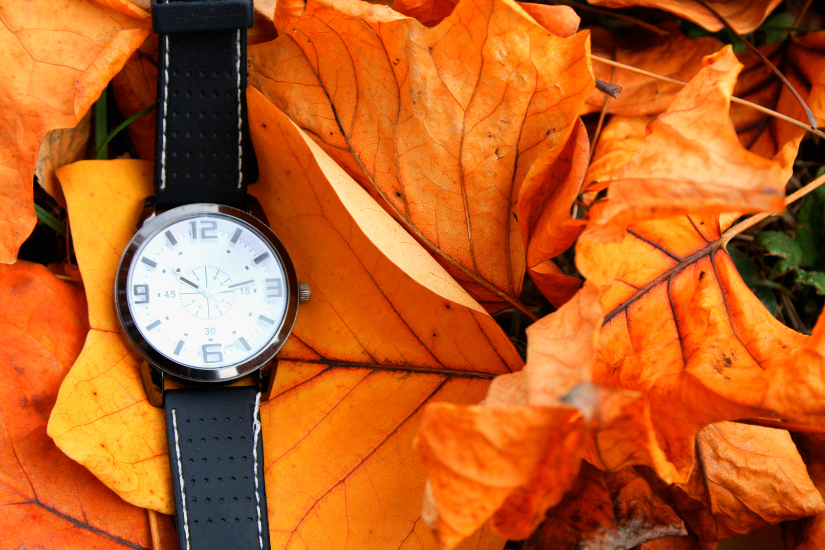Fotolia_125619338_Subscription_Monthly_M.jpg